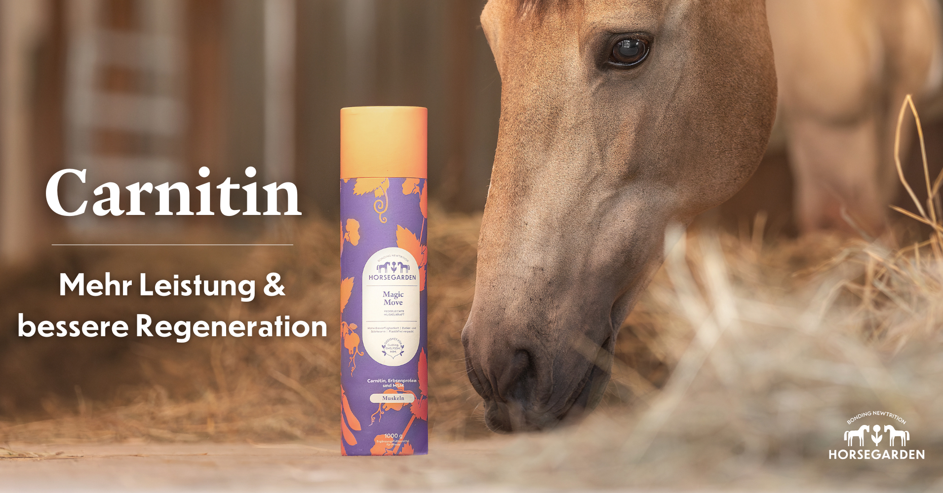 Was verhilft meinem Pferd zu mehr Leistung?