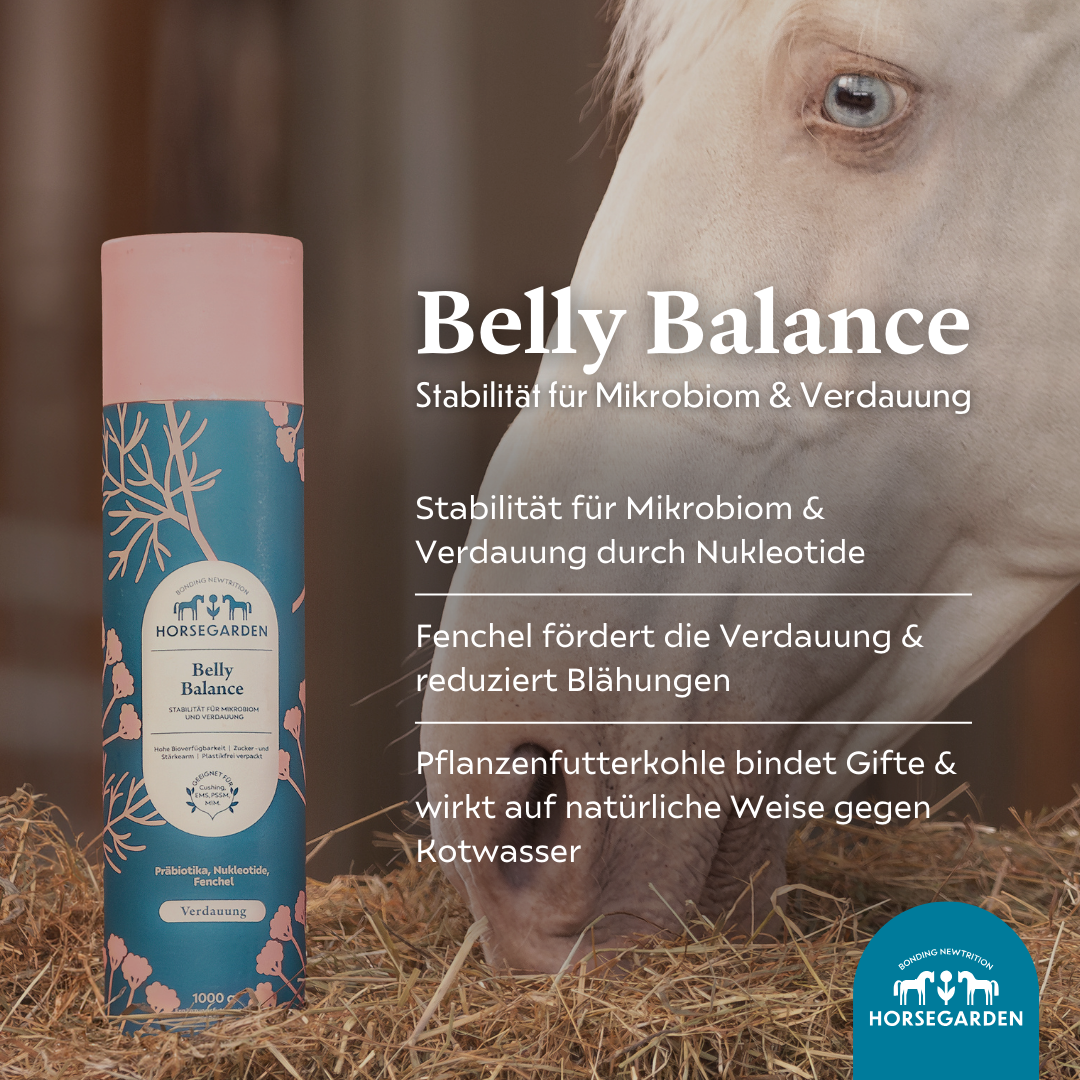 Belly Balance